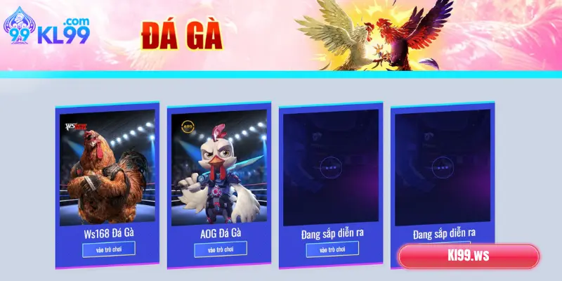 Các sảnh đá gà tại KL99 hot nhất 2025