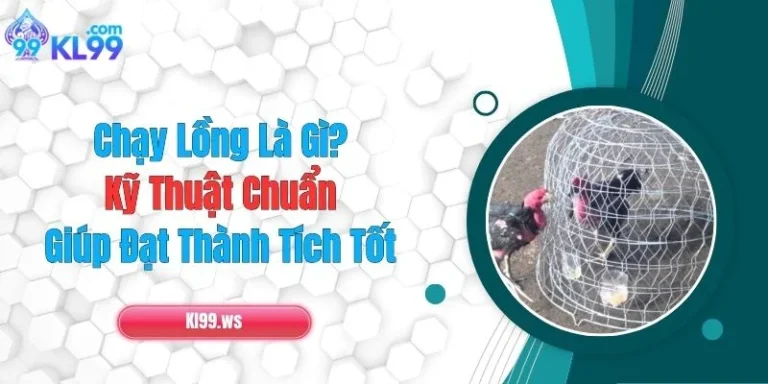 Chạy Lồng Là Gì? Kỹ Thuật Chuẩn Giúp Đạt Thành Tích Tốt