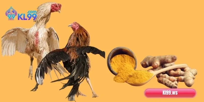 Hướng dẫn cách vào nghệ gà chọi suôn sẻ, mượt mà