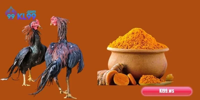 Lưu ý quan trọng khi vào nghệ cho gà chọi dễ nắm bắt